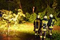 Sturm Radfahrer vom Baum erschlagen Koeln Flittard Duesseldorferstr P02